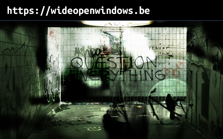 wide open windows