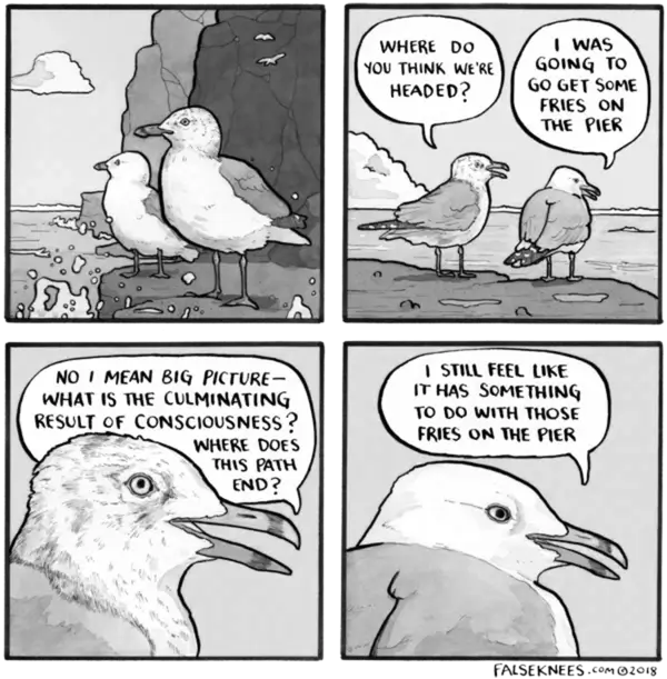 Essay Consciousness
