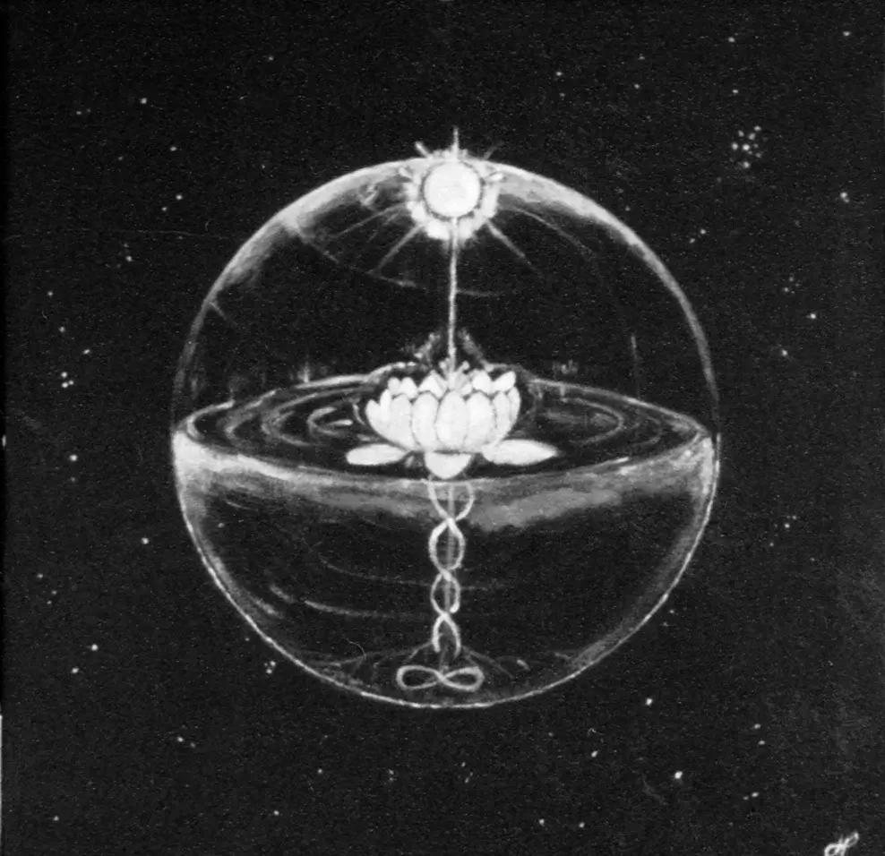 Essay The Geography of Consciousness