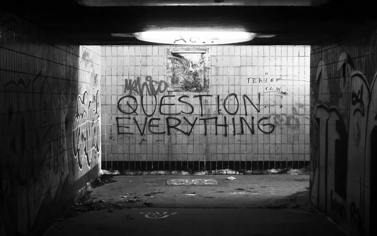 question everything